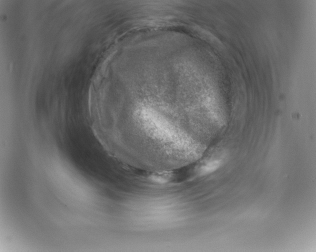 X0000069830720200606021336