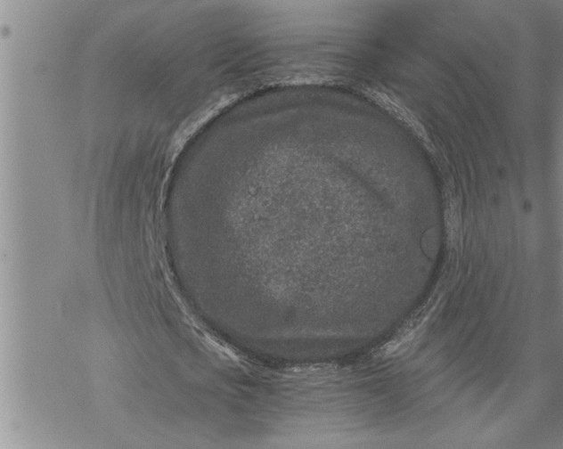 X0000069830721200606021335