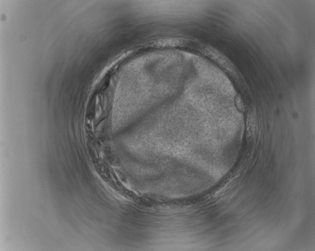 X0000069830722200606021335