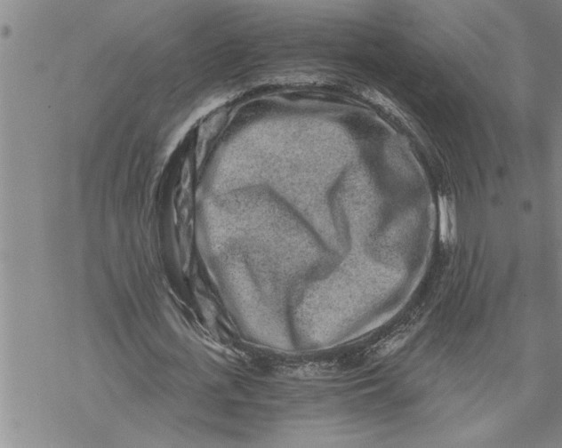 X0000069830723200606021335