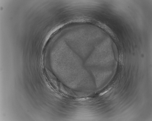 X0000069830724200606021336