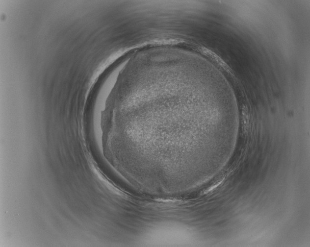 X0000069830726200606021336