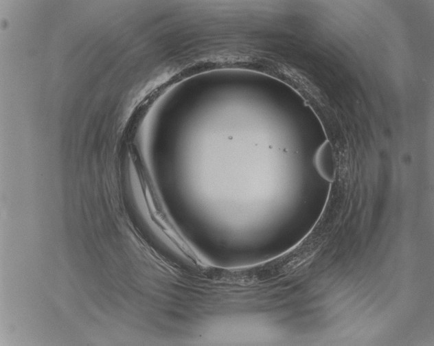 X0000069830727200606021336