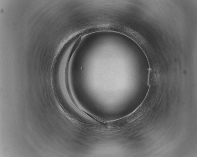 X0000069830728200606021336