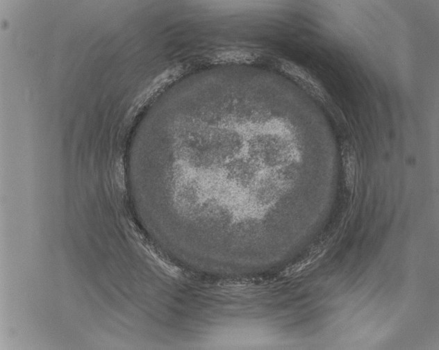 X0000069830729200606021336