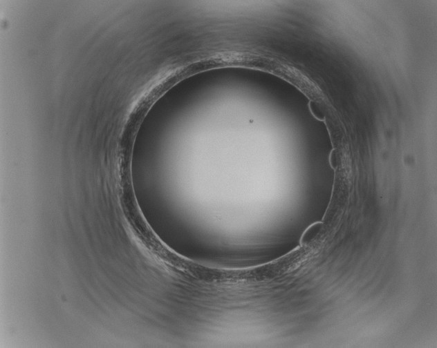 X0000069830730200606021336