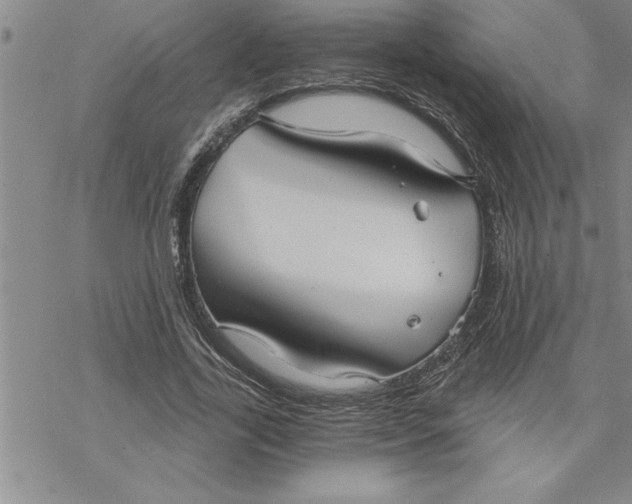 X0000069830731200606021336