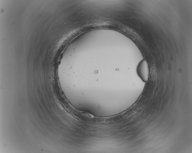 X0000069830732200606021336