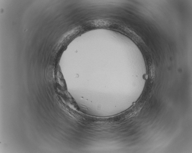 X0000069830733200606021336