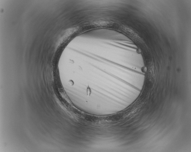 X0000069830734200606021336