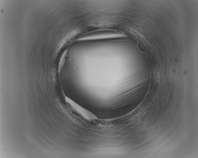 X0000069830735200606021336