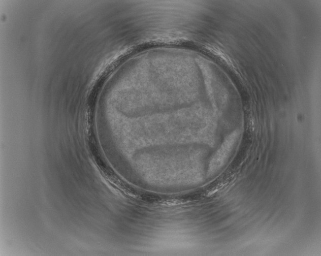 X0000069830736200606021336