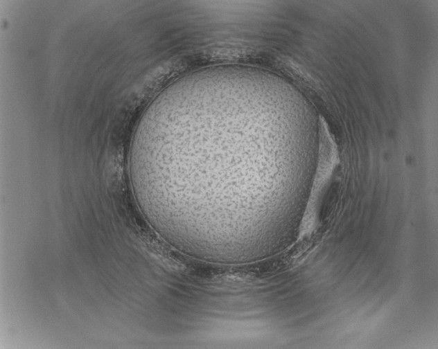 X0000069830737200606021336