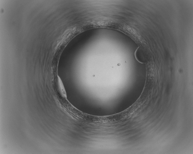 X0000069830738200606021336