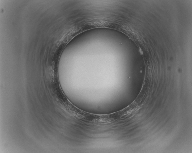 X0000069830739200606021336