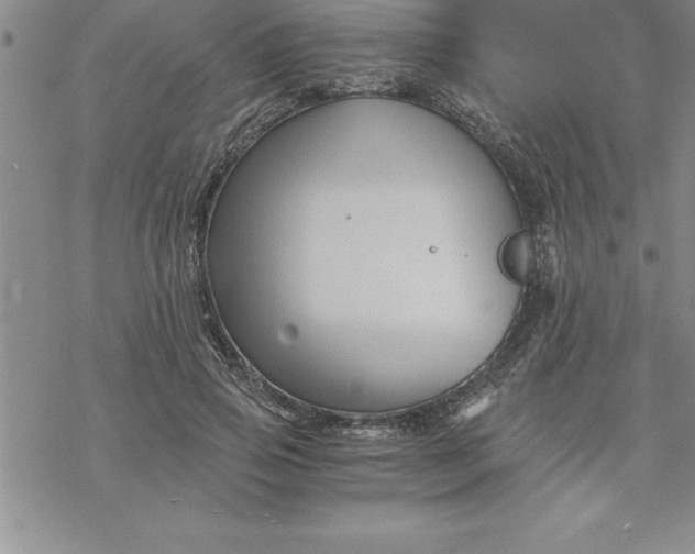 X0000069830741200606021336