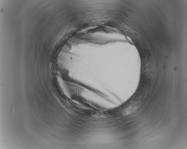 X0000069830742200606021336