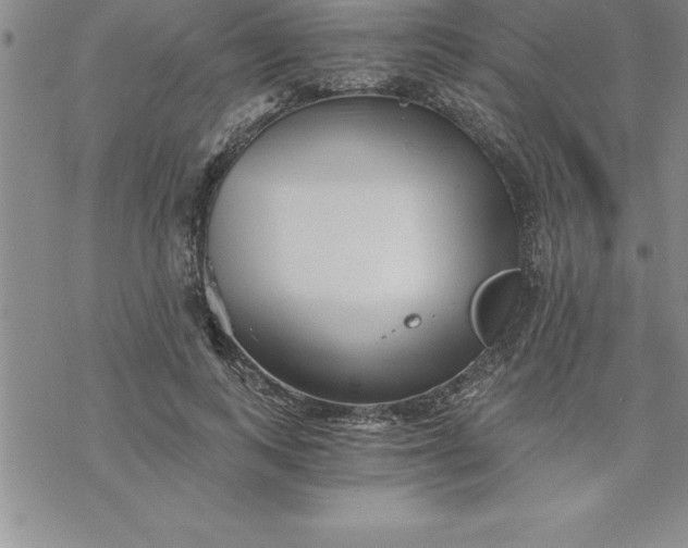 X0000069830743200606021336