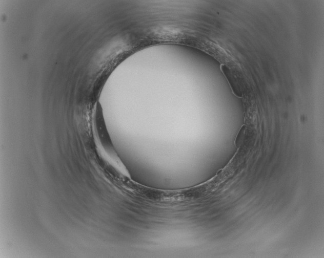 X0000069830744200606021336