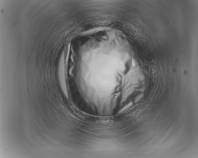 X0000069830745200606021336