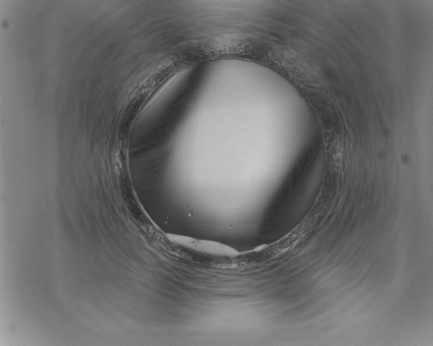 X0000069830746200606021336