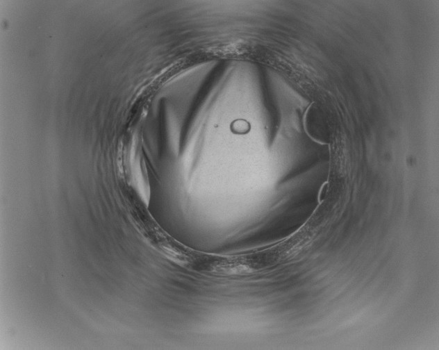 X0000069830747200606021336