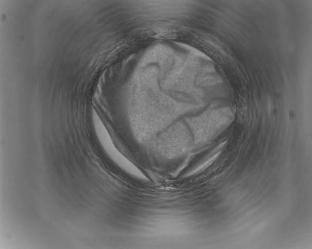 X0000069830748200606021336