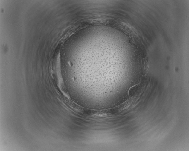 X0000069830749200606021336