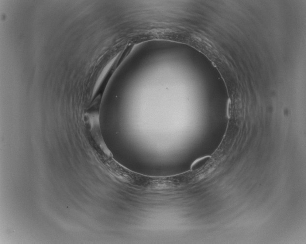 X0000069830750200606021336