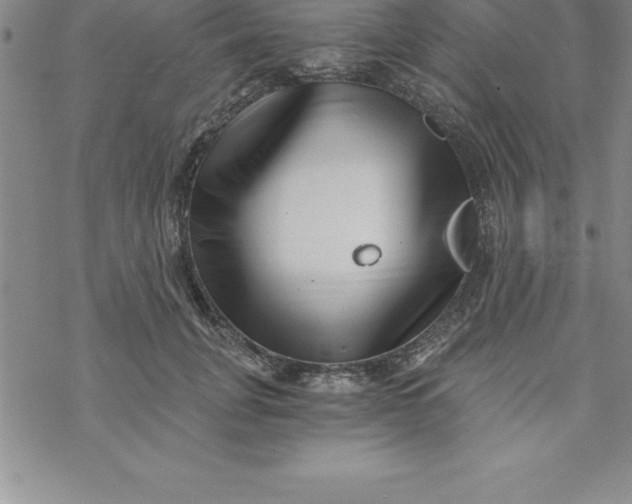 X0000069830751200606021336