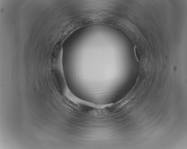 X0000069830752200606021336