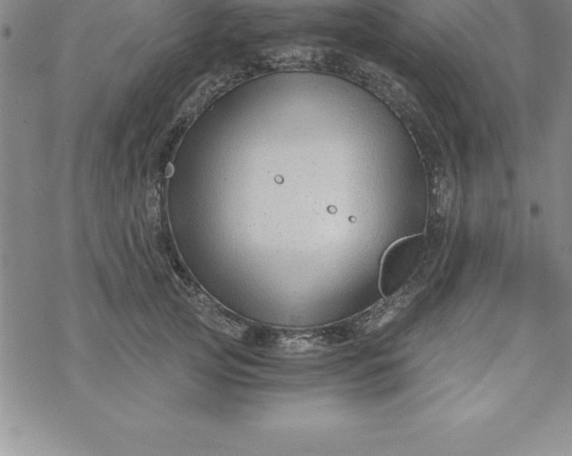 X0000069830753200606021336