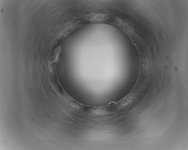 X0000069830755200606021336