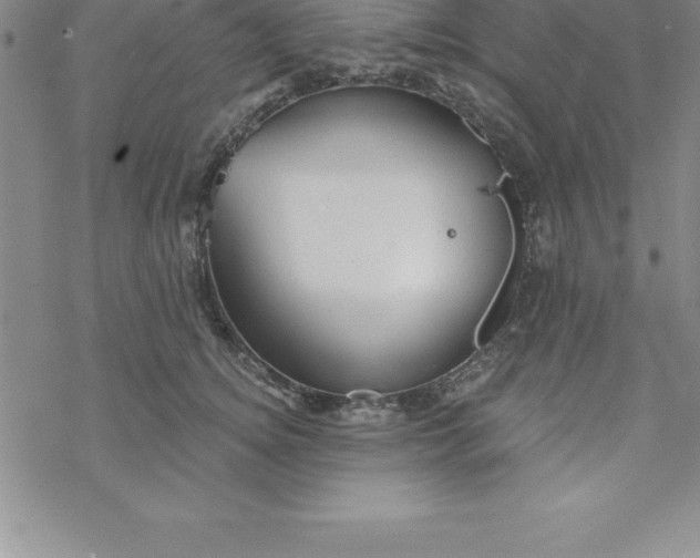 X0000069830756200606021336