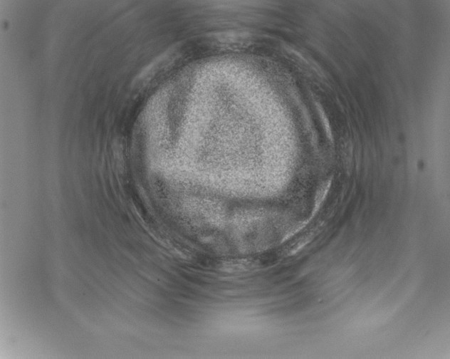 X0000069830757200606021336