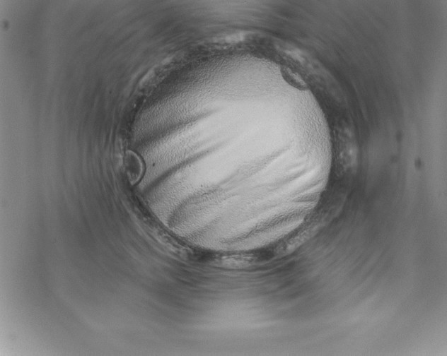 X0000069830758200606021336