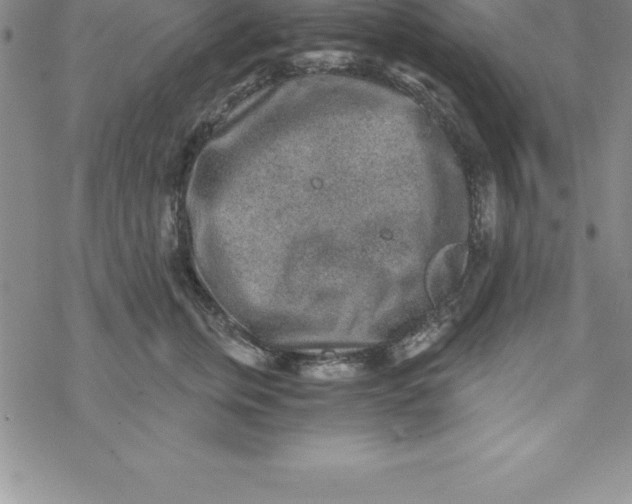 X0000069830759200606021336