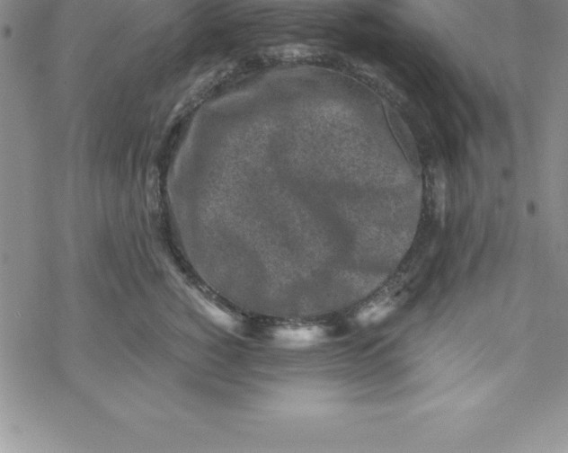 X0000069830760200606021336