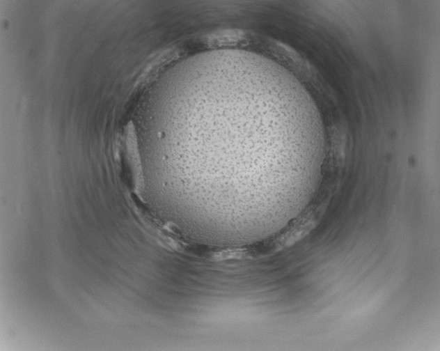 X0000069830761200606021336