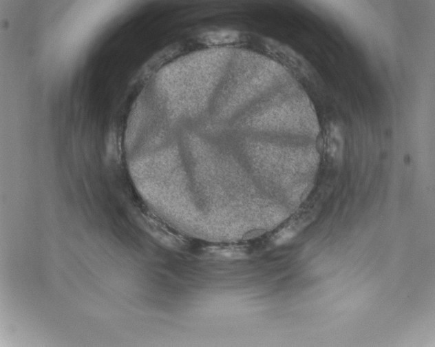 X0000069830763200606021336