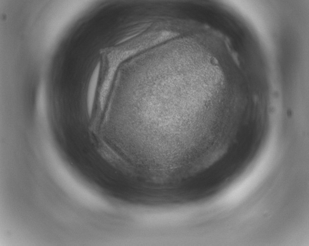 X0000069830765200606021336