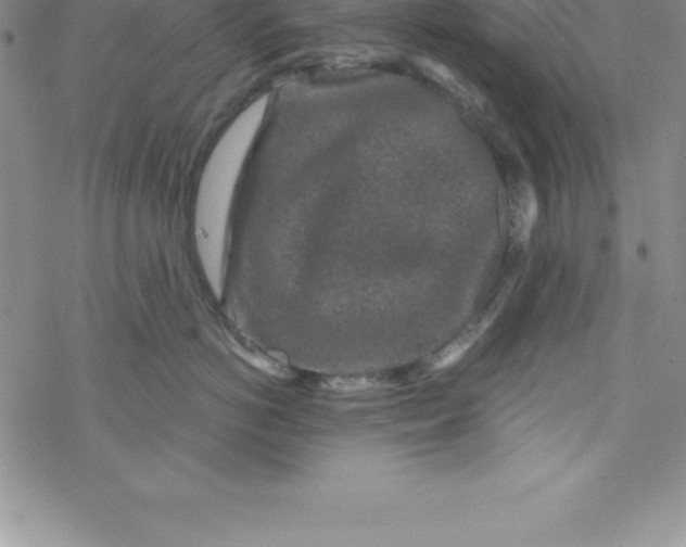 X0000069830766200606021336