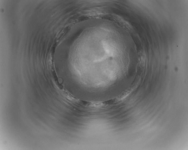 X0000069830767200606021336