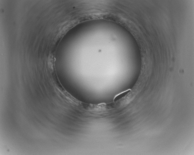 X0000069830768200606021336