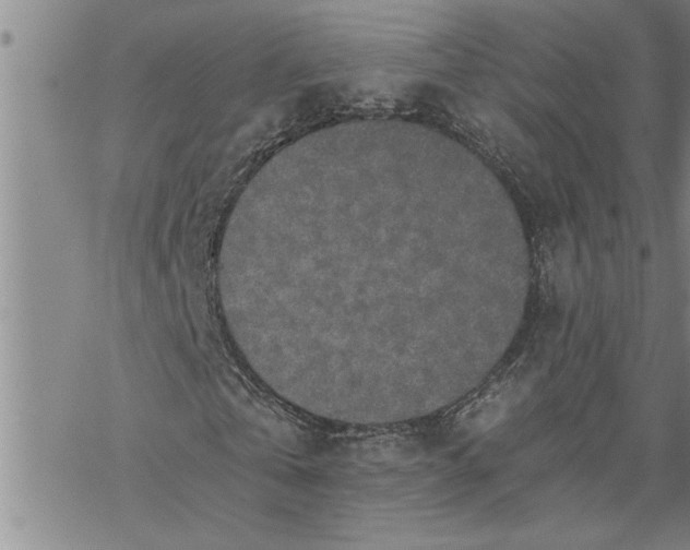 X0000069830769200606021335