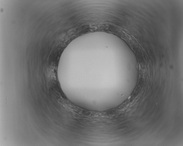 X0000069830770200606021335