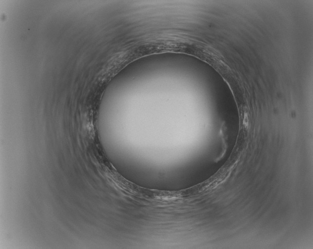 X0000069830771200606021335