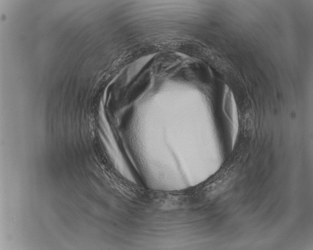 X0000069830772200606021335