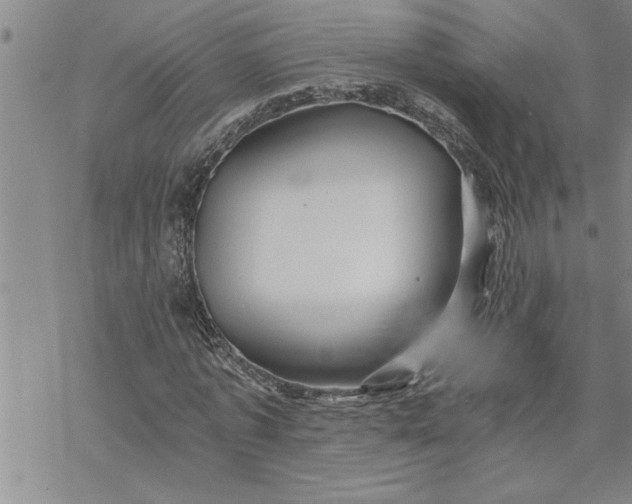 X0000069830773200606021335