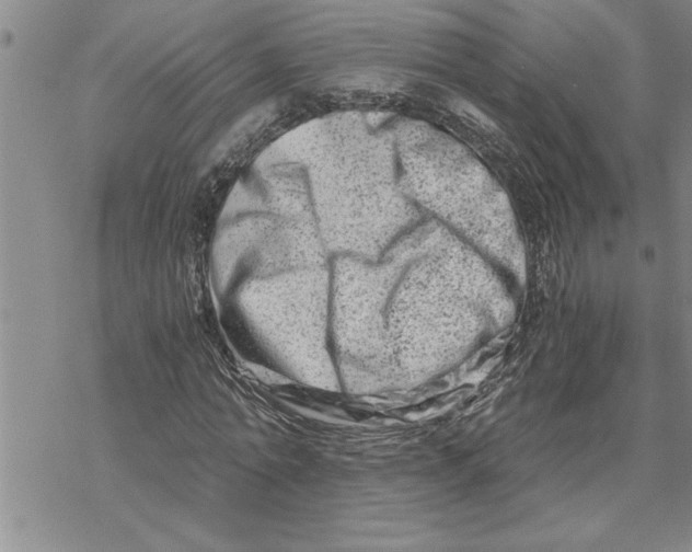 X0000069830774200606021335